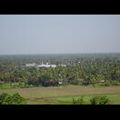 Palmen dominieren Kerala